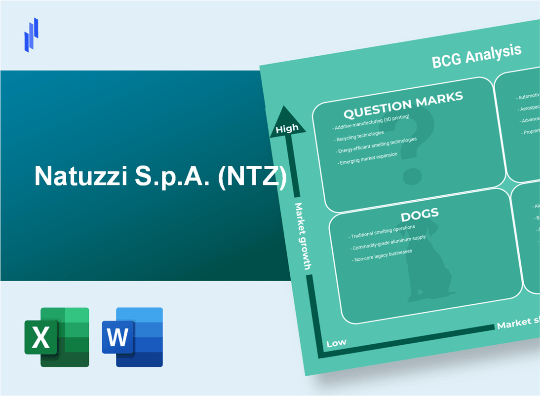 Natuzzi S.p.A. (NTZ) BCG Matrix Analysis