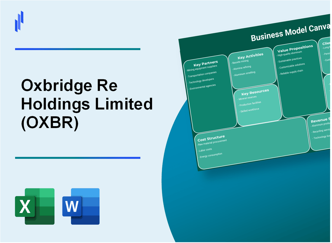 Oxbridge Re Holdings Limited (OXBR): Business Model Canvas