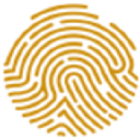 Pan African Resources PLC (PAF.L) Logo