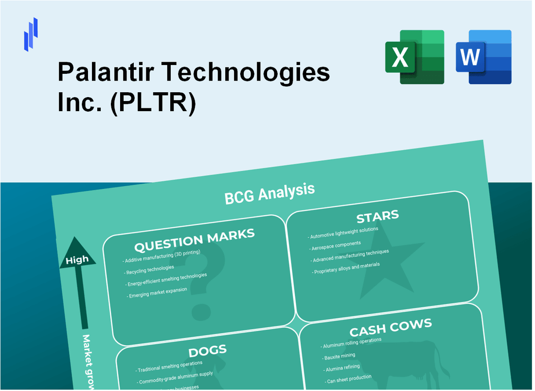 Palantir Technologies Inc. (PLTR) BCG Matrix Analysis