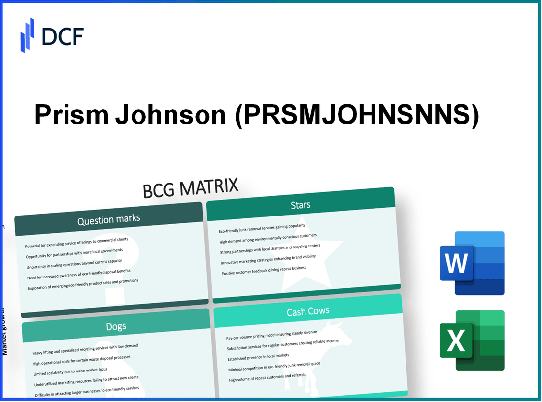 Prism Johnson Limited (PRSMJOHNSN.NS): BCG Matrix