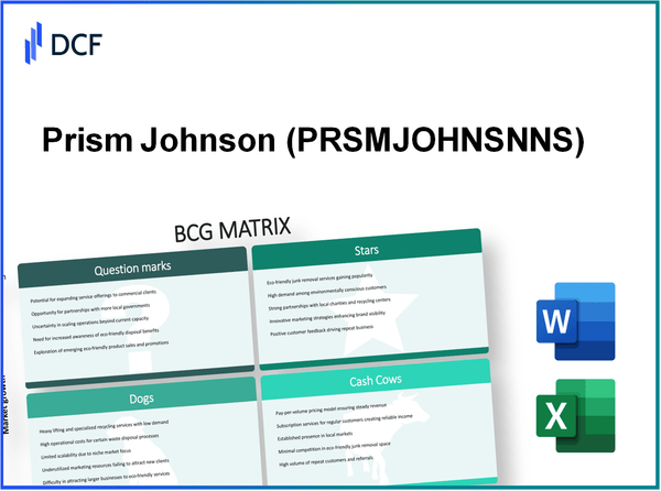 Prism Johnson Limited (PRSMJOHNSN.NS): BCG Matrix