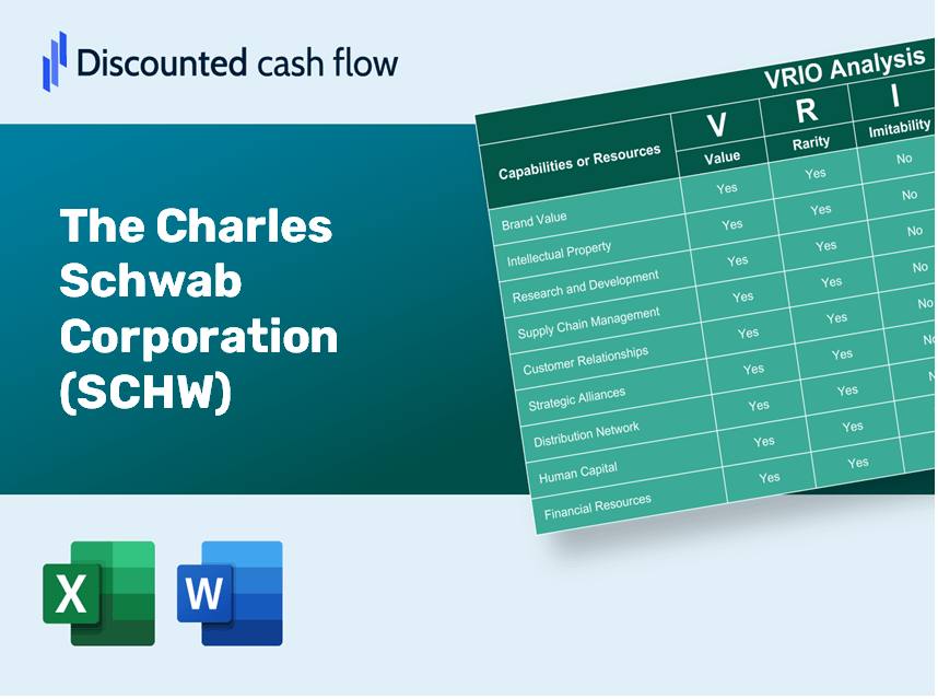 The Charles Schwab Corporation (SCHW): VRIO Analysis [10-2024 Updated]