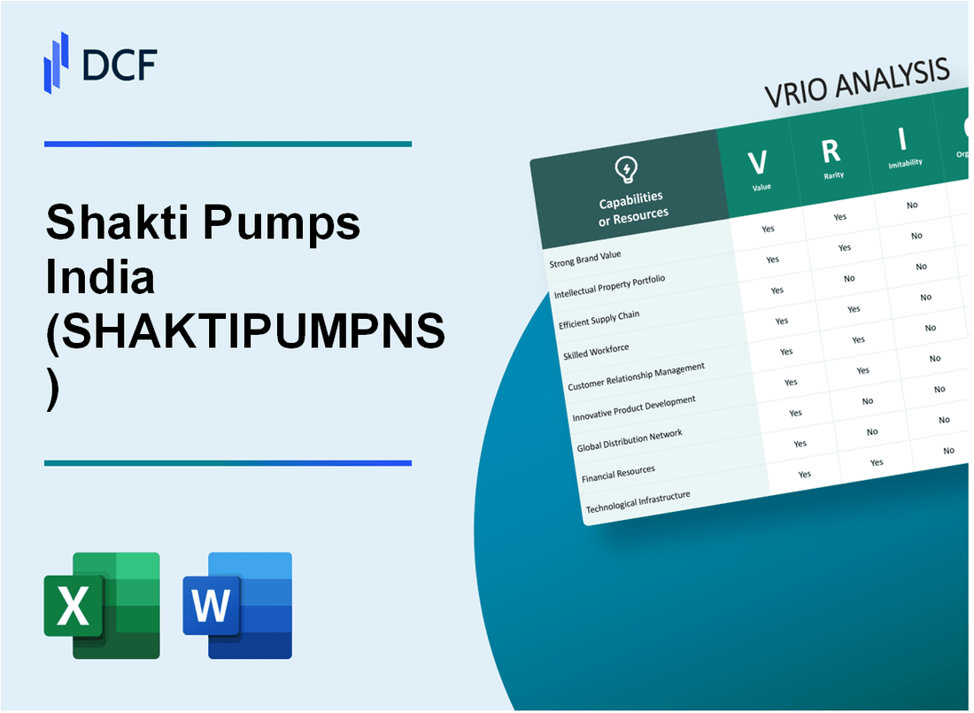 Shakti Pumps Limited (SHAKTIPUMP.NS): VRIO Analysis