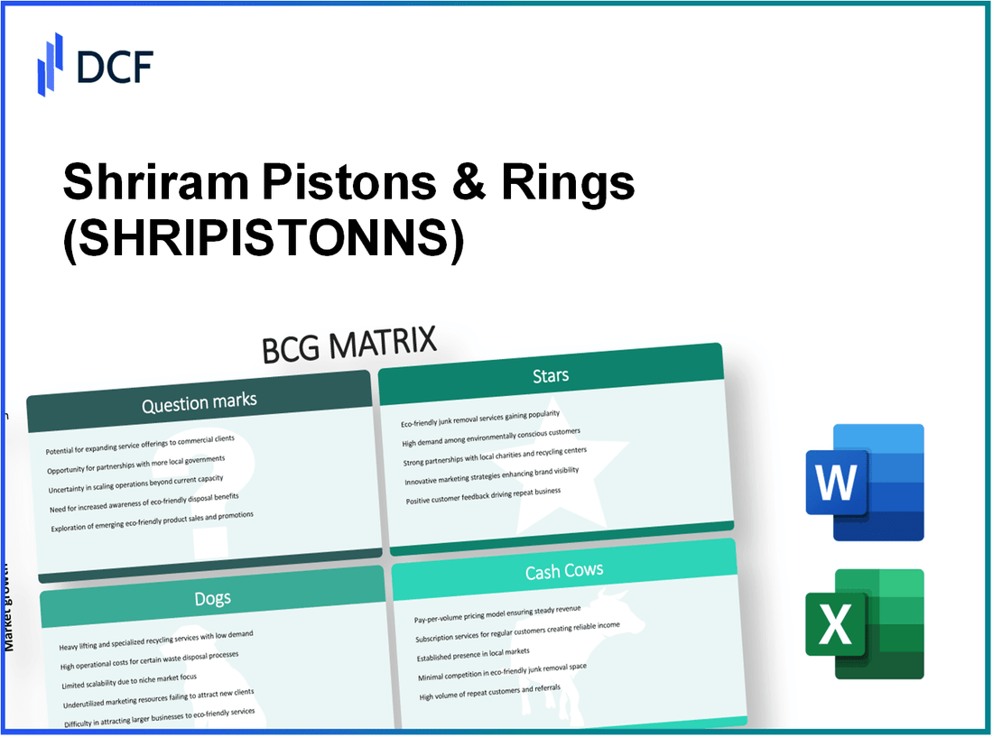 Shriram Pistons & Rings Limited (SHRIPISTON.NS): BCG Matrix