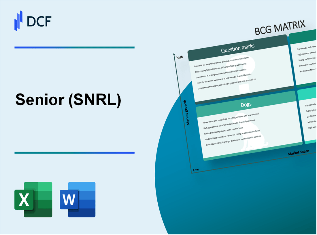 Senior plc (SNR.L): BCG Matrix