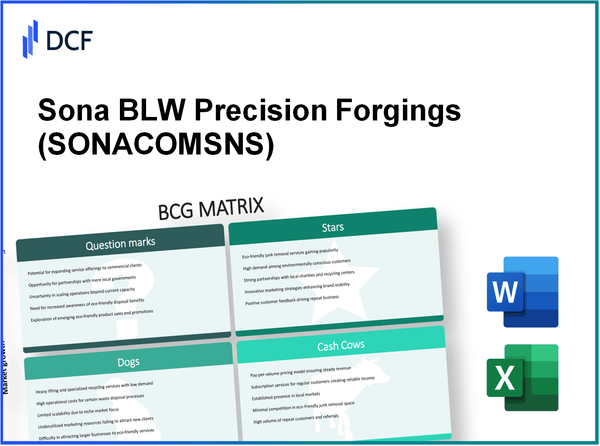Sona BLW Precision Forgings Limited (SONACOMS.NS): BCG Matrix