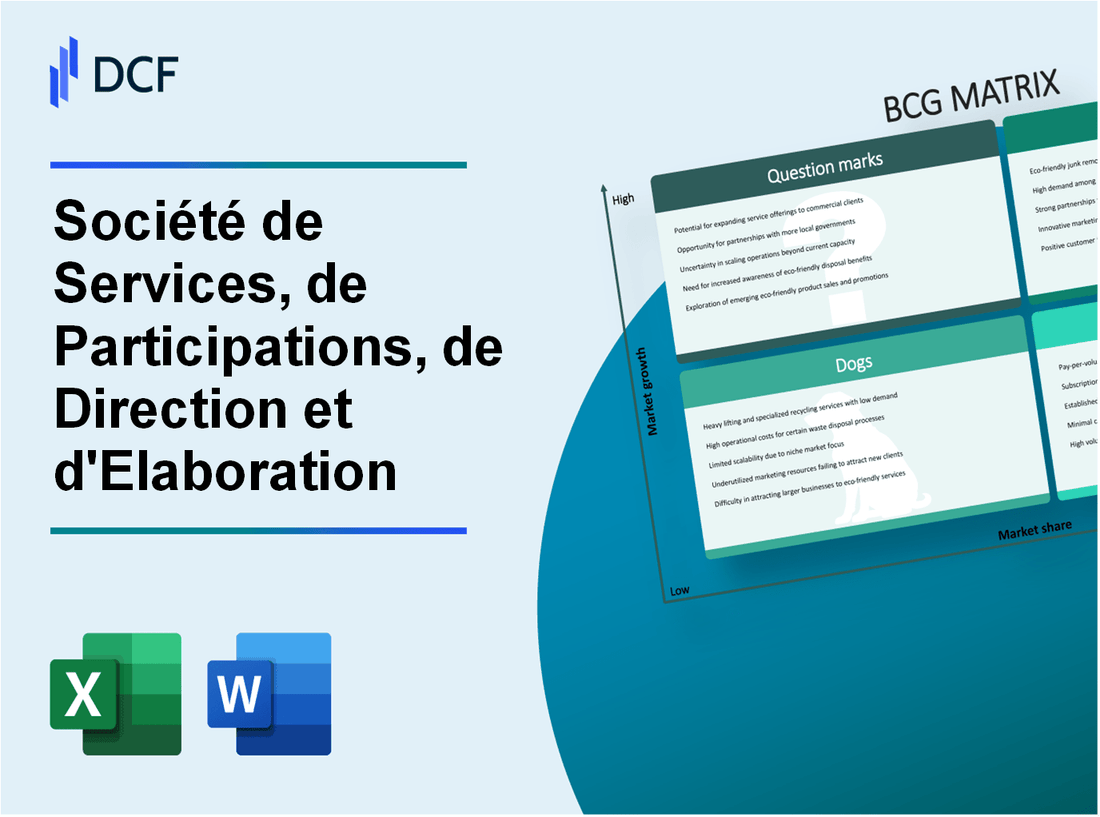 Société de Services, de Participations, de Direction et d'Elaboration Société anonyme (SPA.BR): BCG Matrix