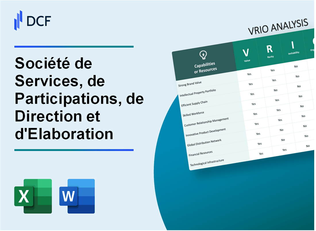 Société de Services, de Participations, de Direction et d'Elaboration Société anonyme (SPA.BR): VRIO Analysis