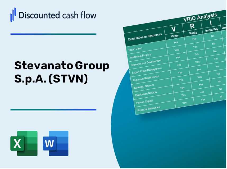 Stevanato Group S.p.A. (STVN): VRIO Analysis [10-2024 Updated]