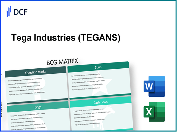 Tega Industries Limited (TEGA.NS): BCG Matrix