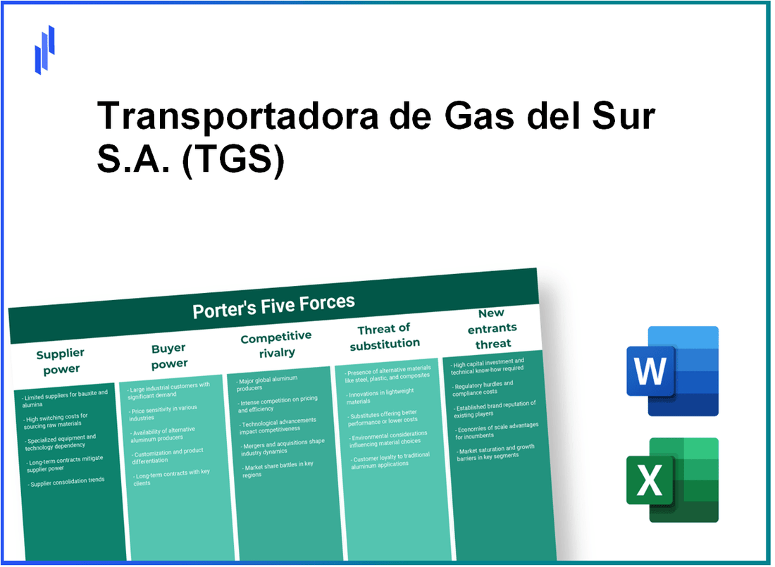 What are the Porter’s Five Forces of Transportadora de Gas del Sur S.A. (TGS)?