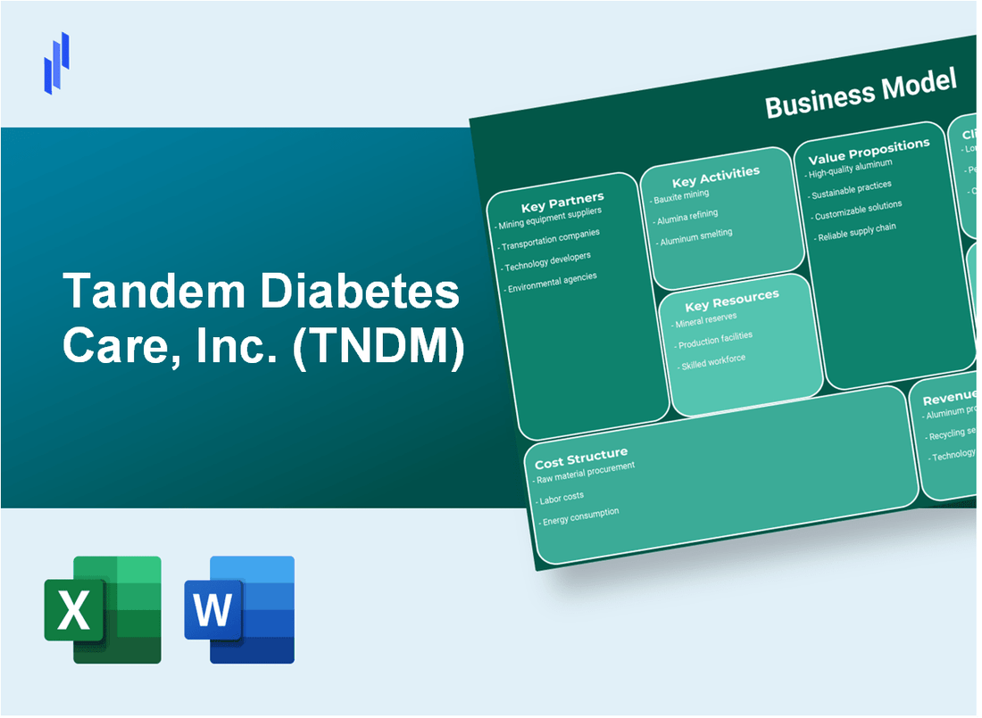 Tandem Diabetes Care, Inc. (TNDM): Business Model Canvas