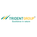 Trident Limited (TRIDENT.NS) Logo