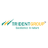 Trident Limited (TRIDENT.NS) Logo