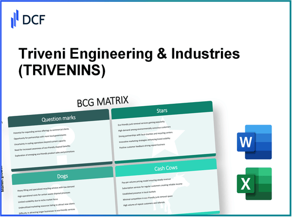 Triveni Engineering & Industries Limited (TRIVENI.NS): BCG Matrix