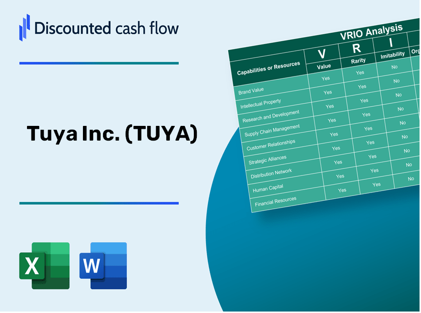 Tuya Inc. (TUYA): VRIO Analysis [10-2024 Updated]