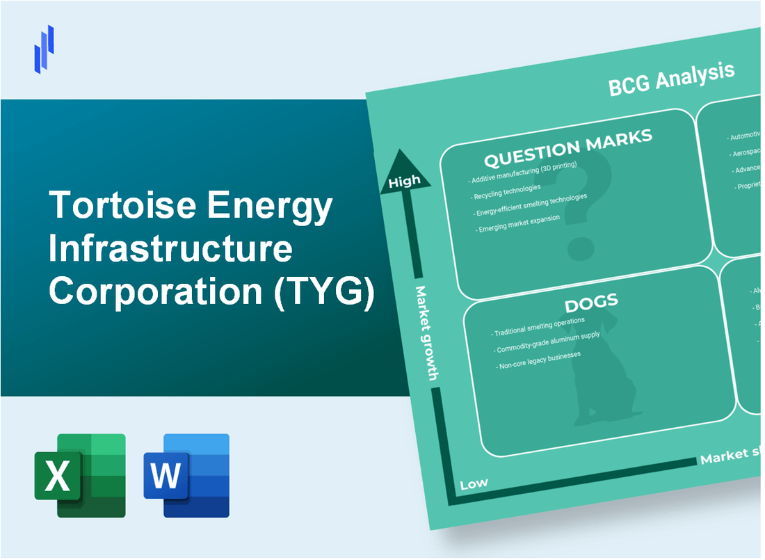 Tortoise Energy Infrastructure Corporation (TYG) BCG Matrix Analysis