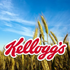 Kellogg Company (K), Discounted Cash Flow Valuation