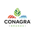 Conagra Brands, Inc. (CAG), Discounted Cash Flow Valuation