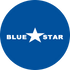 Blue Star Foods Corp. (BSFC), Discounted Cash Flow Valuation