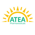 Atea Pharmaceuticals, Inc. (AVIR), Discounted Cash Flow Valuation