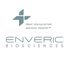 Enveric Biosciences, Inc. (ENVB), Discounted Cash Flow Valuation