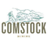 Comstock Inc. (LODE), Discounted Cash Flow Valuation